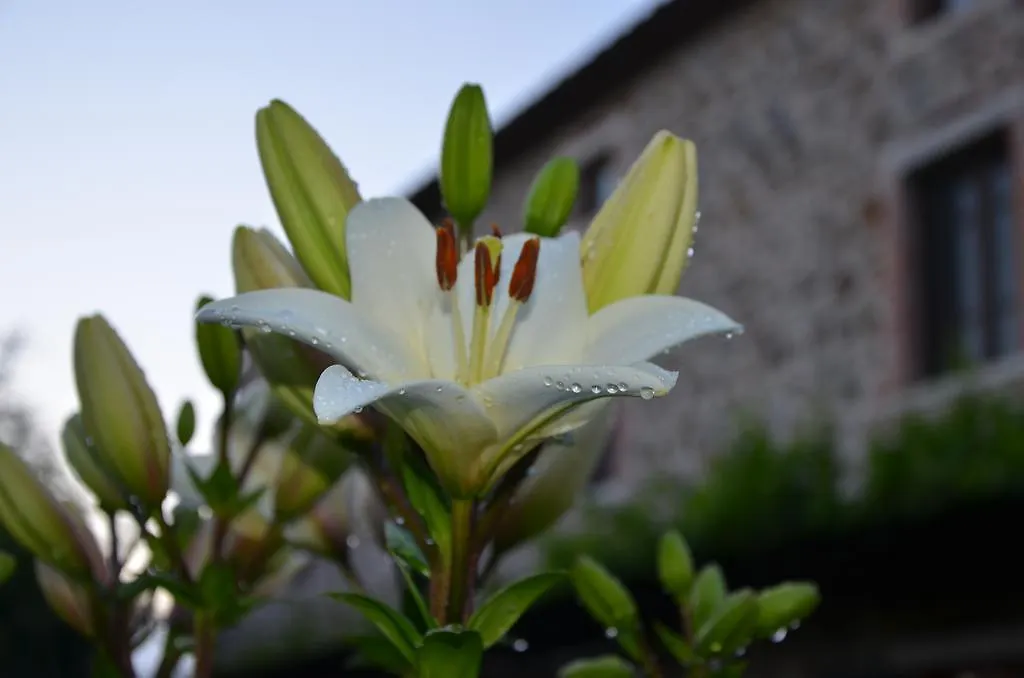 Agriturismo D' Epoca La Marianella